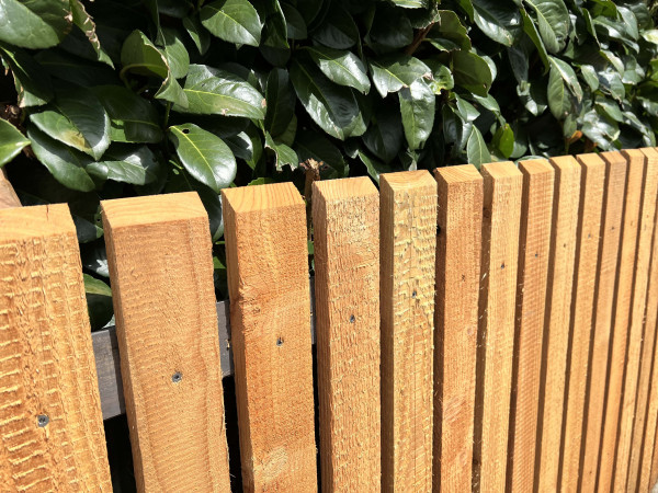 Plotová lať z modřínu řezaná 20/70 mm