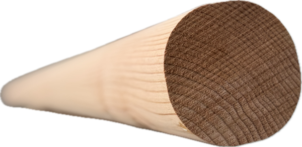 Modřínové palisády