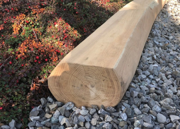 Přírodní pražec z akátového dřeva 2,50 & 3,0 m